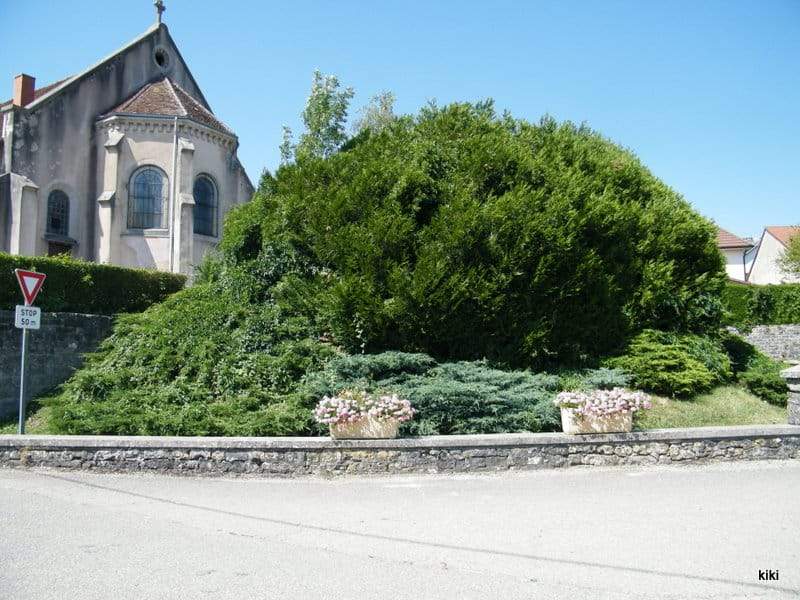 eglise de buvilly jura 1