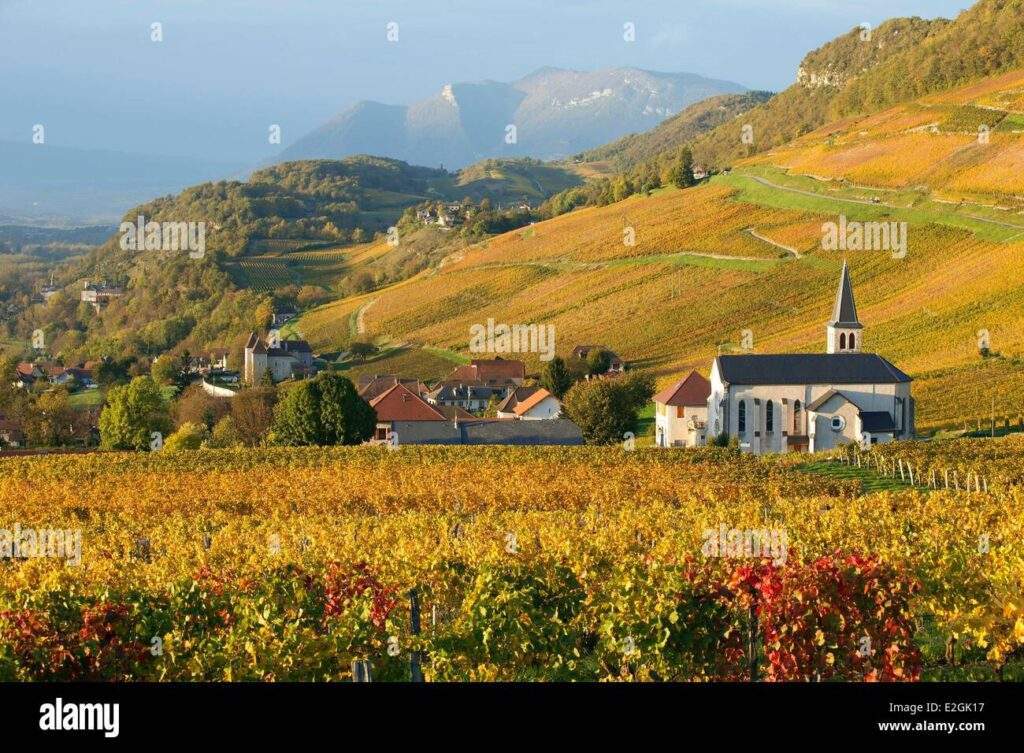 eglise de jongieux savoie