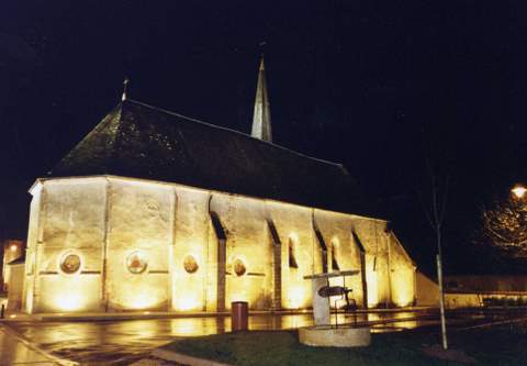 eglise de saint eloy de gy cher