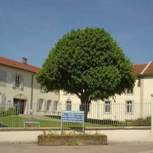 eglise maison de retraite la compassion la compassion vineuil saint firmin