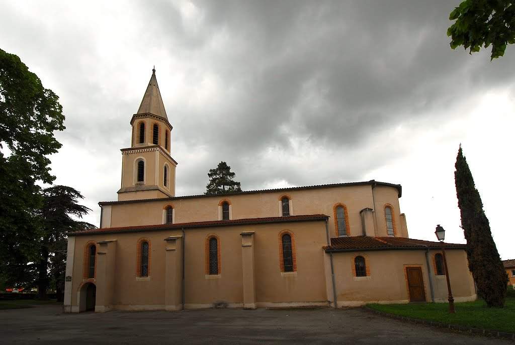 eglise saint martin palleville tarn